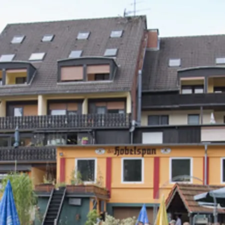 Der Hobelspan 3*